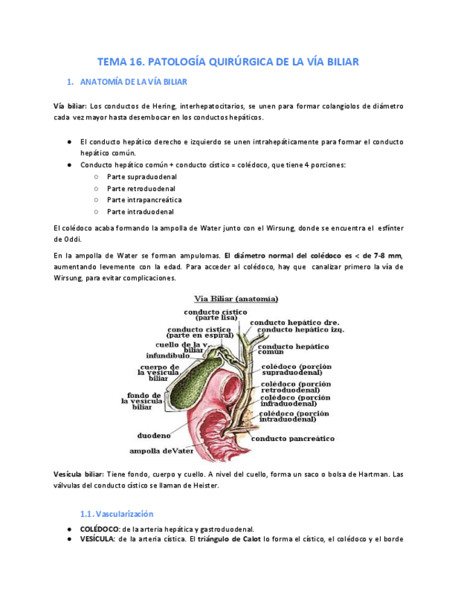 Miniatura del documento Tema-16.pdf
