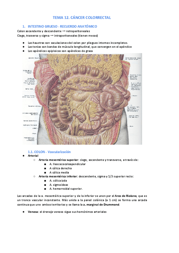 Miniatura del documento Tema-12.pdf