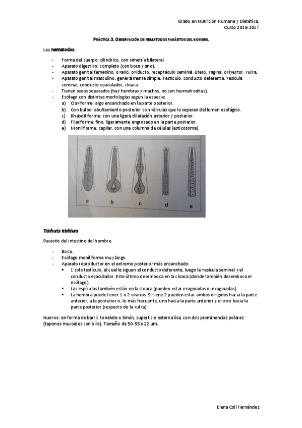 Miniatura del documento Práctica 3. Nematodos. Parasitología Alimentaria.pdf