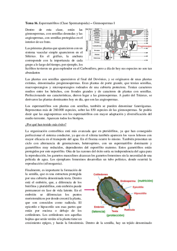 Miniatura del documento Tema-16.pdf