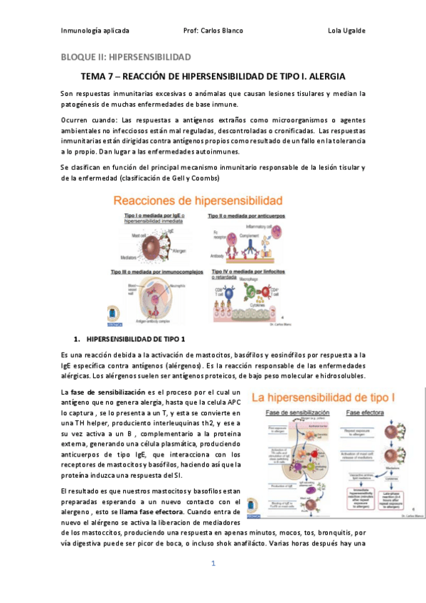 Miniatura del documento IA07.pdf