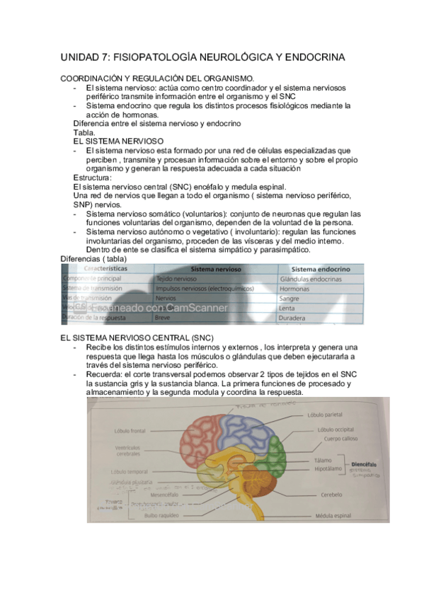 Miniatura del documento tema-7-fisiopatologia-neurologica-y-endocrina.pdf