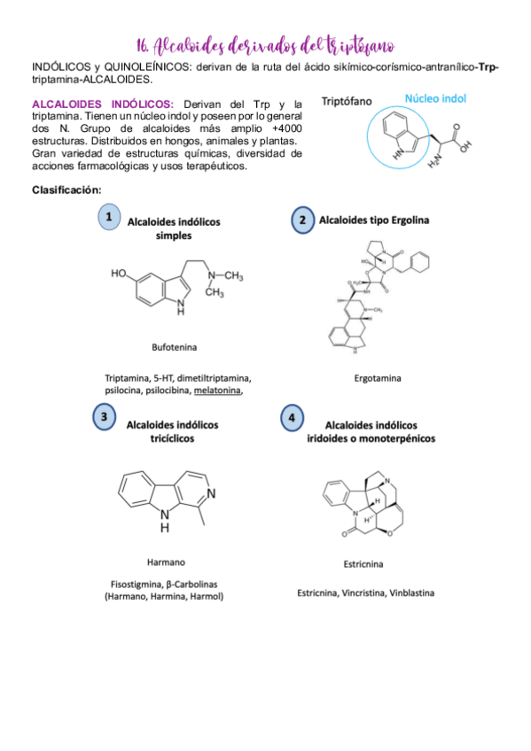 Miniatura del documento 16.pdf