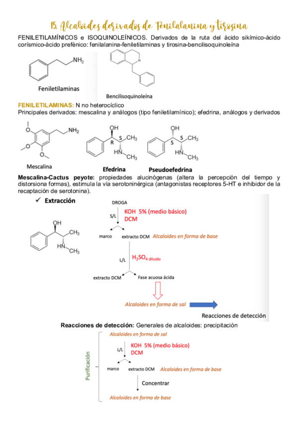 Miniatura del documento 15.pdf