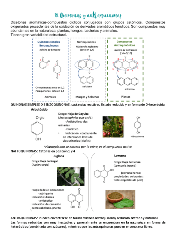 Miniatura del documento 10.pdf