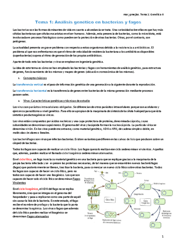 Miniatura del documento Tema-1.pdf