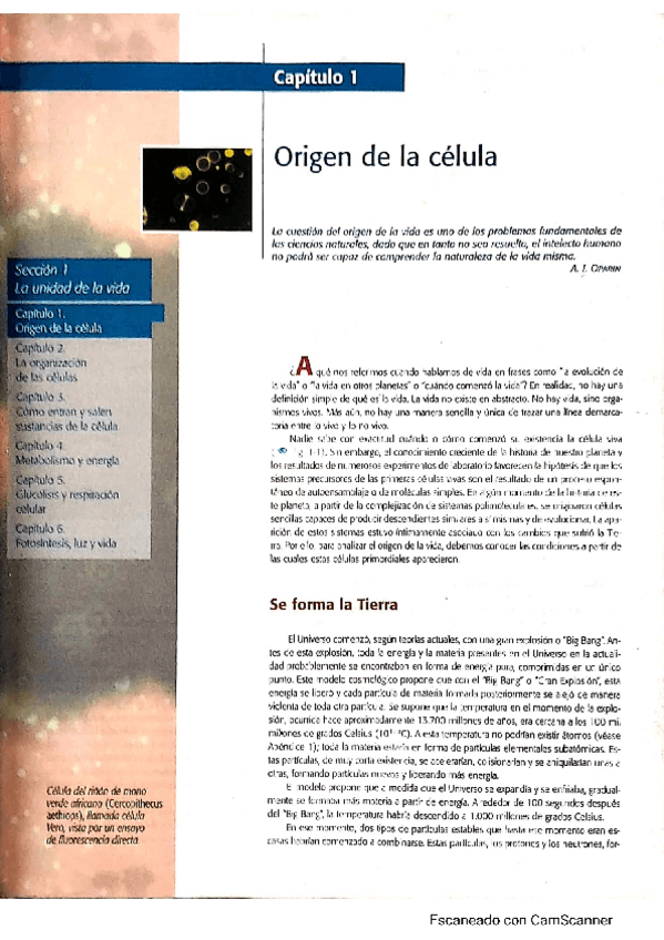 Miniatura del documento Biologia-Curtis.pdf