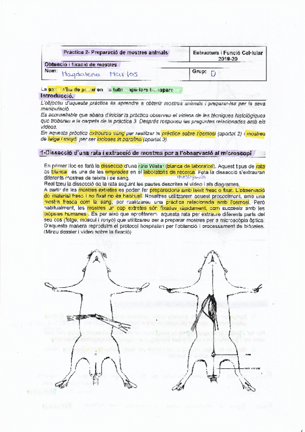 Miniatura del documento Práctica-2.pdf