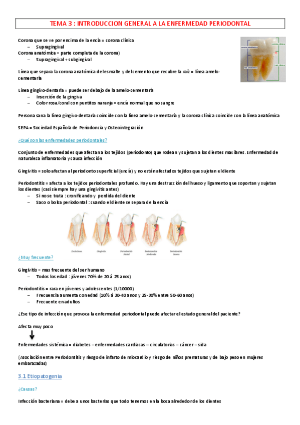 Miniatura del documento CLINIQUE-3.pdf