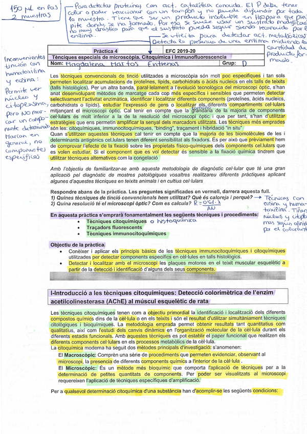 Miniatura del documento Práctica-4.pdf