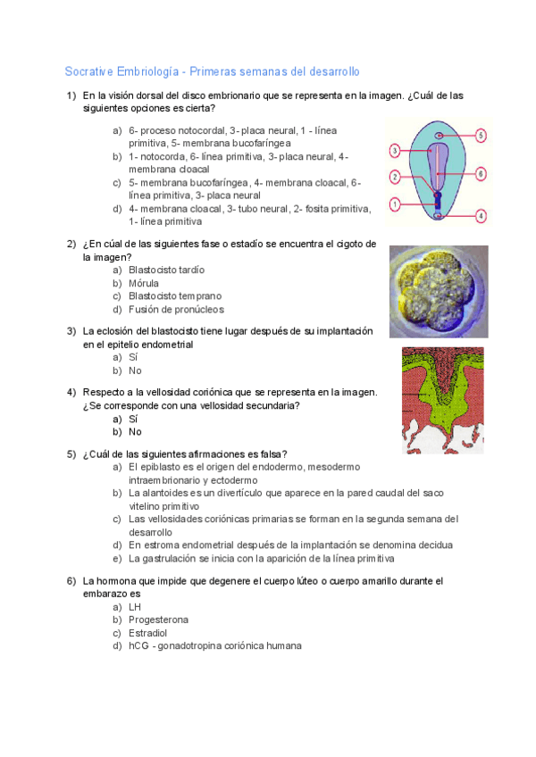 Miniatura del documento Tipotest-primeras-semanas.pdf