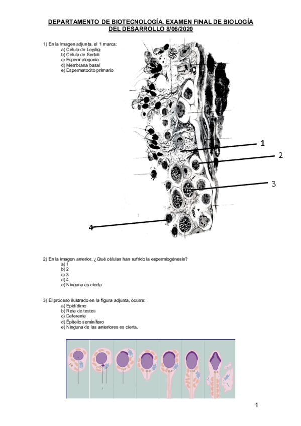 Miniatura del documento EXAMEN-DE-TEORIA-8-6-20-DEFINITIVO-SIN-RESPUESTAS.pdf