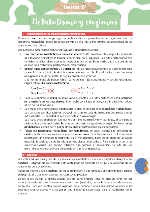 Miniatura del documento TEMA-12.pdf