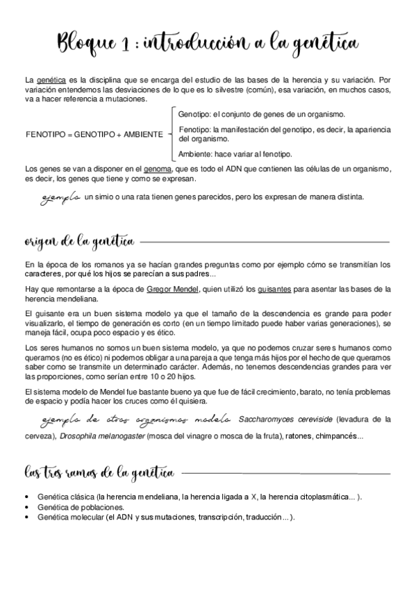 Miniatura del documento Bloque-1.pdf