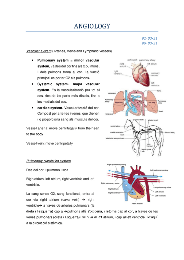 Miniatura del documento ANGIOLOGY-complet-2a-i-3a-classe-amb-catala-castella-english.pdf