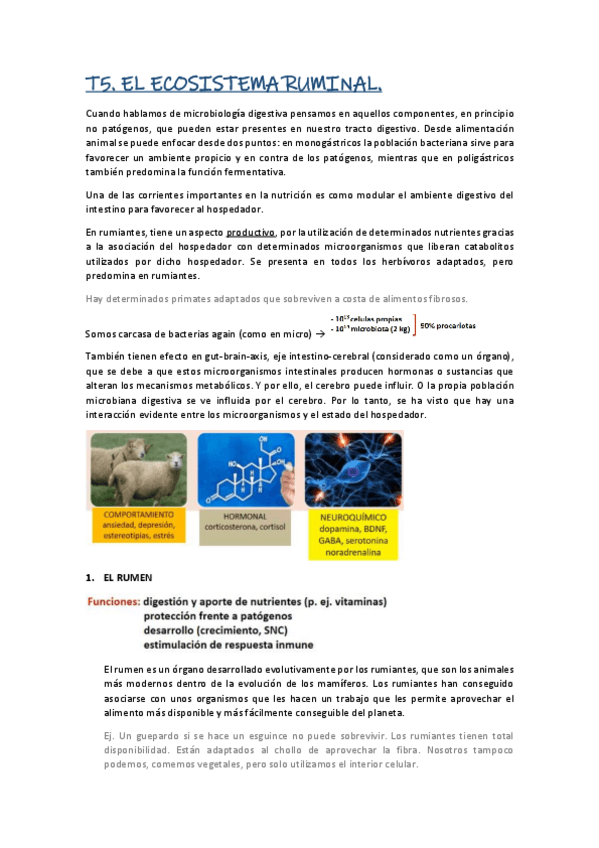 Miniatura del documento TEMA-5-ECOSISTEMA-RUMINAL.pdf