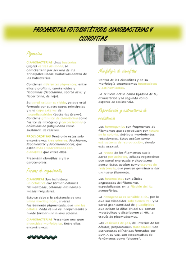 Miniatura del documento Tema-16.pdf