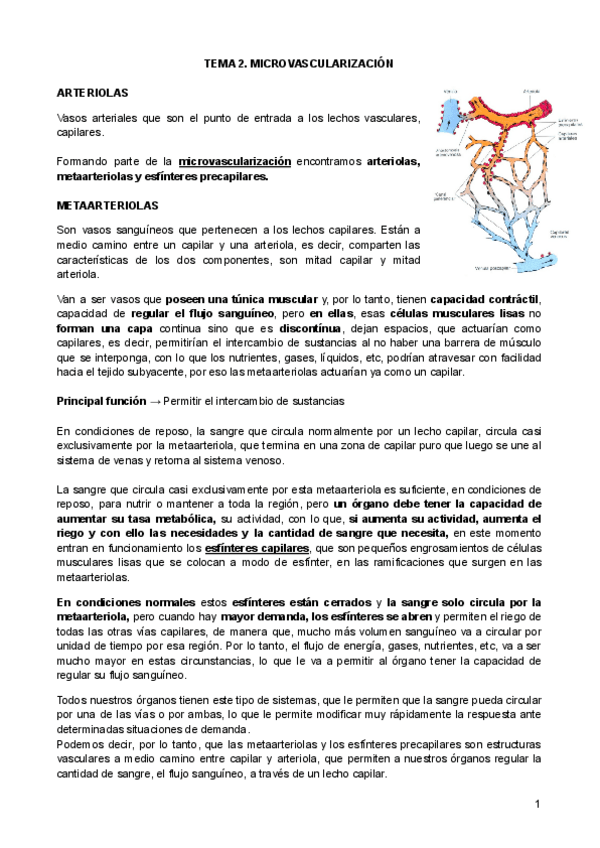 Miniatura del documento Tema-2.pdf