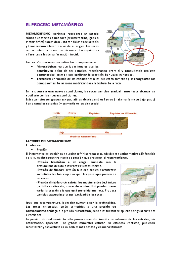 Miniatura del documento wuolah-free-metamorfismo.pdf