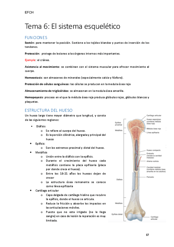Miniatura del documento tema-6.pdf