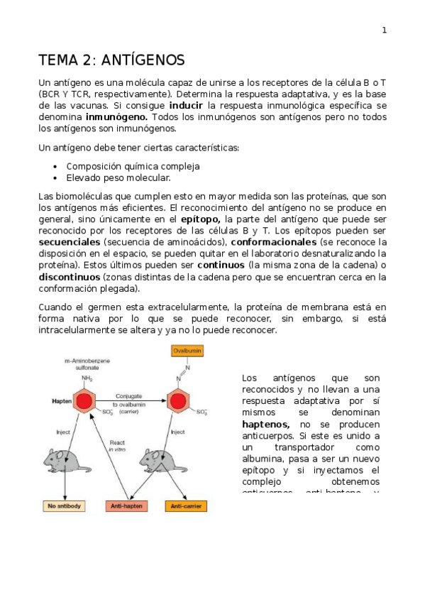 Miniatura del documento TEMA-2.docx