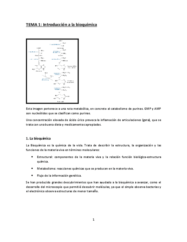 Miniatura del documento Tema-1.pdf