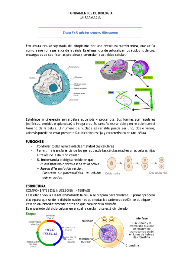 Miniatura del documento Tema-5.pdf