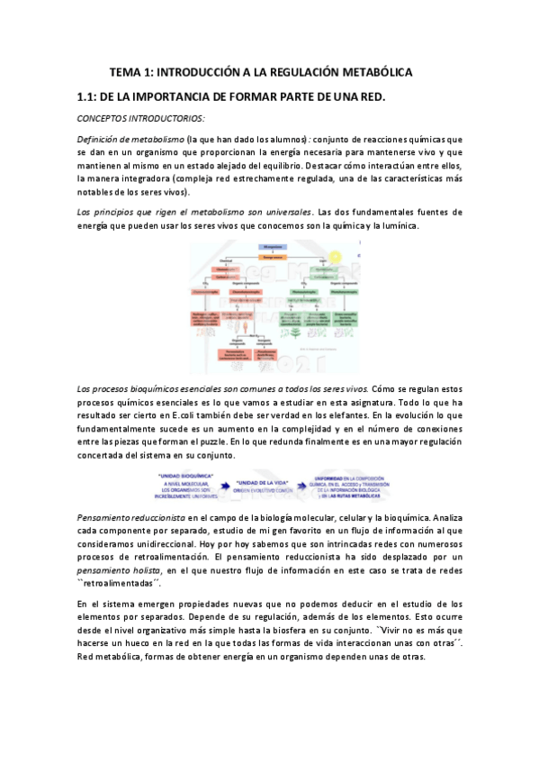 Miniatura del documento Introduccion-a-la-regulacion-metabolica.pdf