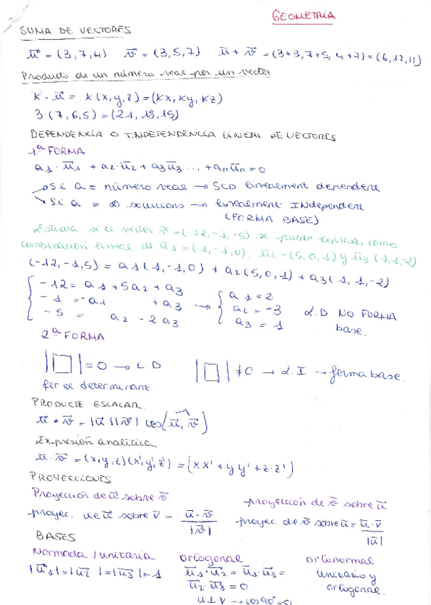Miniatura del documento GEOMETRIA.pdf
