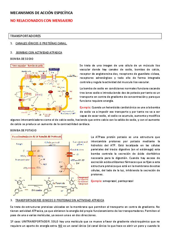 Miniatura del documento 2-10.pdf