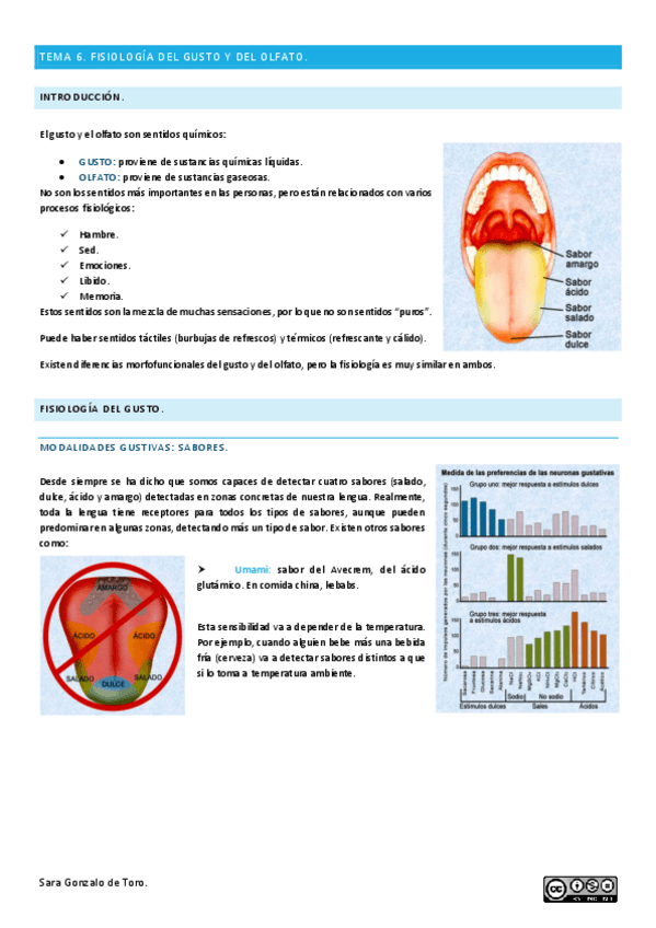 Miniatura del documento TEMA-6.pdf