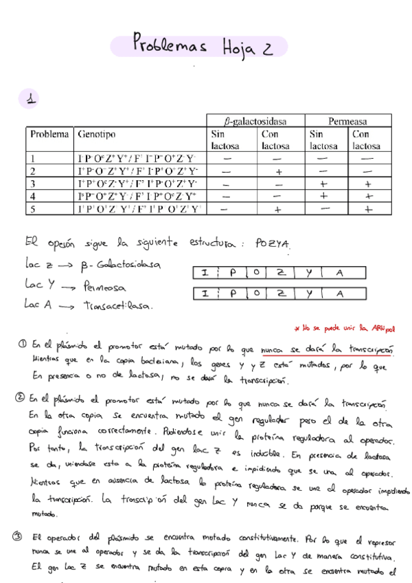 Miniatura del documento Problemas-Hoja-2-20210310195704.pdf
