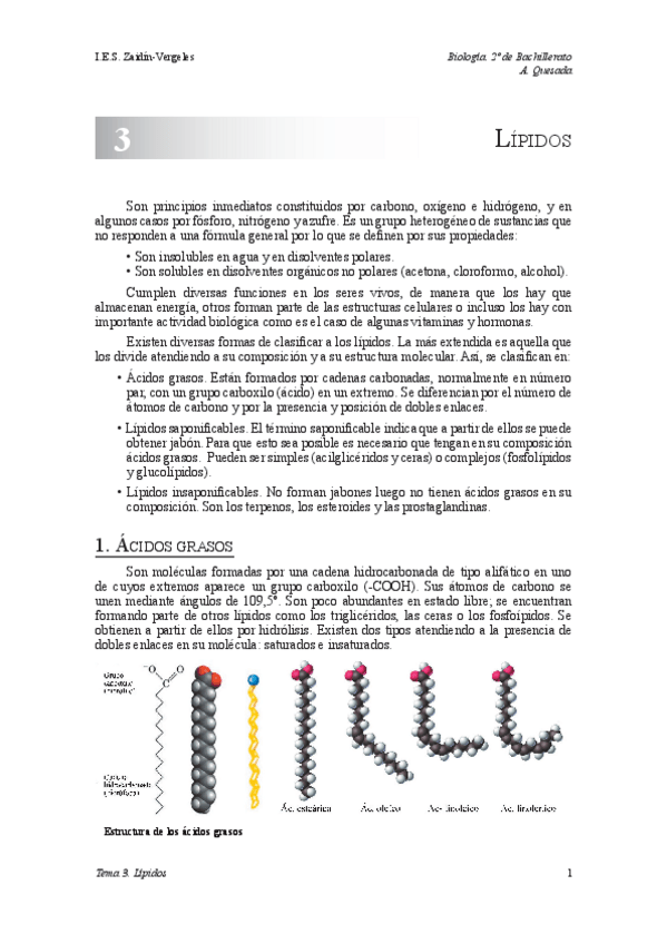 Miniatura del documento tema-3-lipidos.pdf