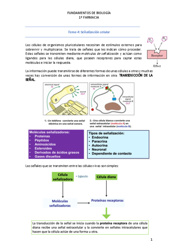 Miniatura del documento Tema-4.pdf