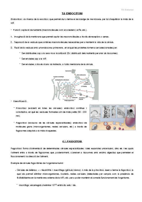 Miniatura del documento bio-cell-3.pdf