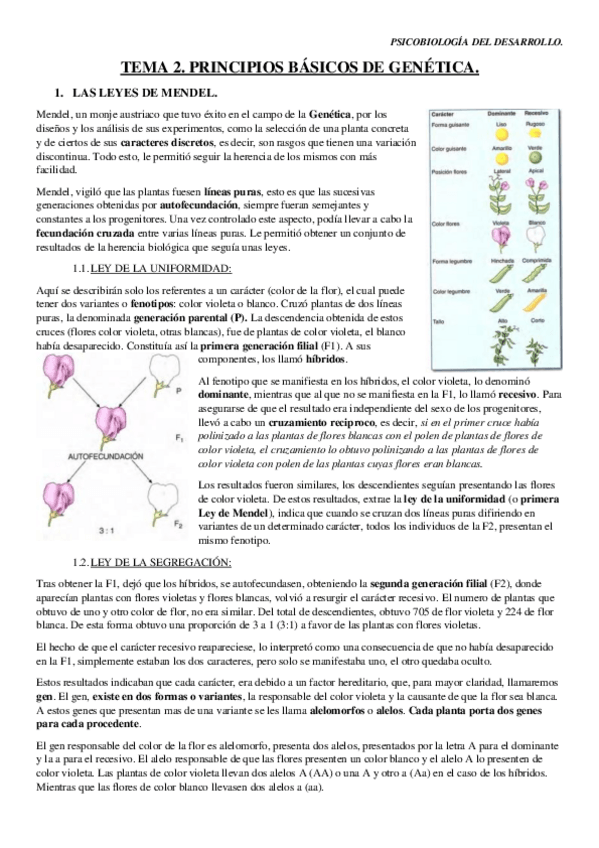 Miniatura del documento TEMA-2.pdf