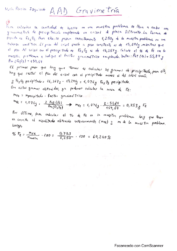 Miniatura del documento AAD-Gravimetria.pdf