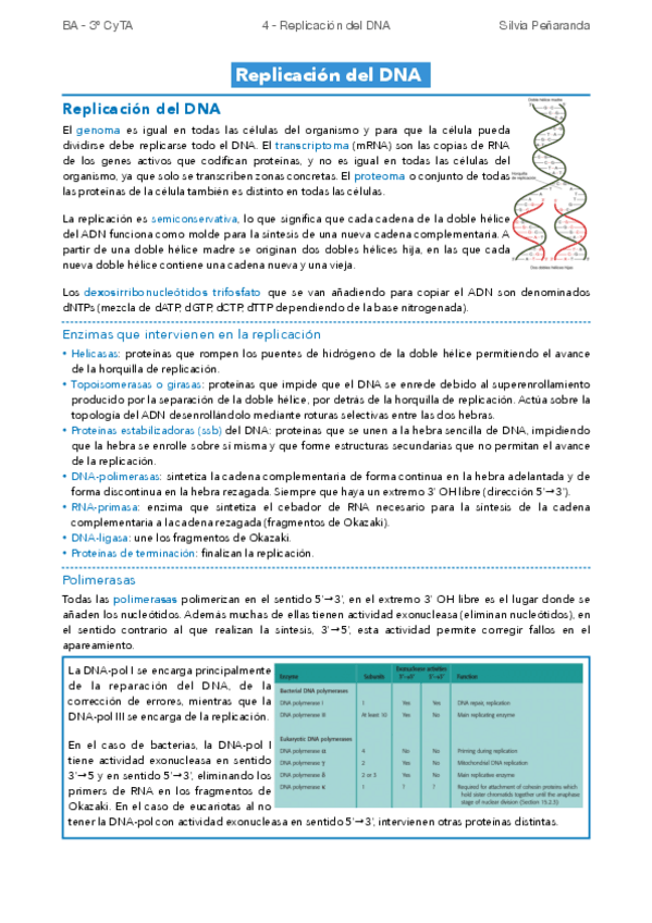 Miniatura del documento 4-Replicacion-del-DNA.pdf
