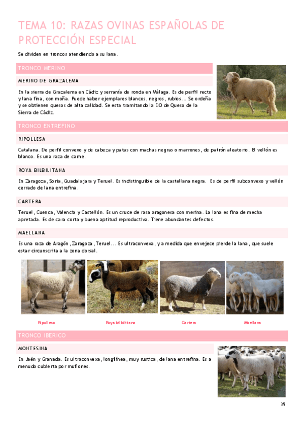 Miniatura del documento Tema-10.pdf