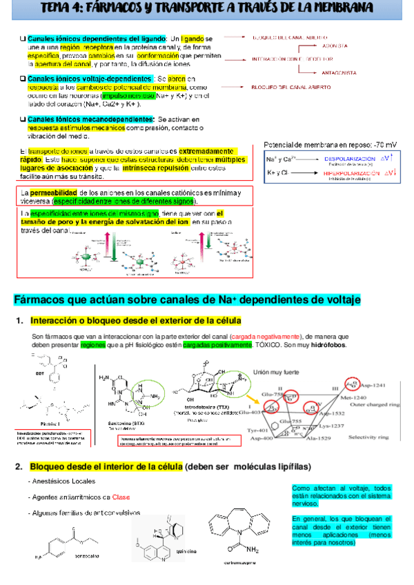 Miniatura del documento Canales de Na