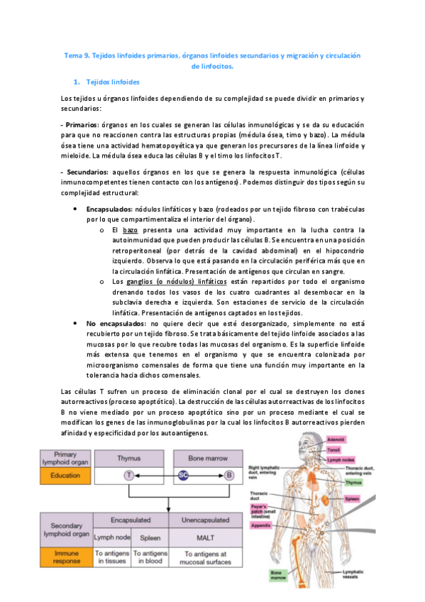 Miniatura del documento Tema-9.pdf