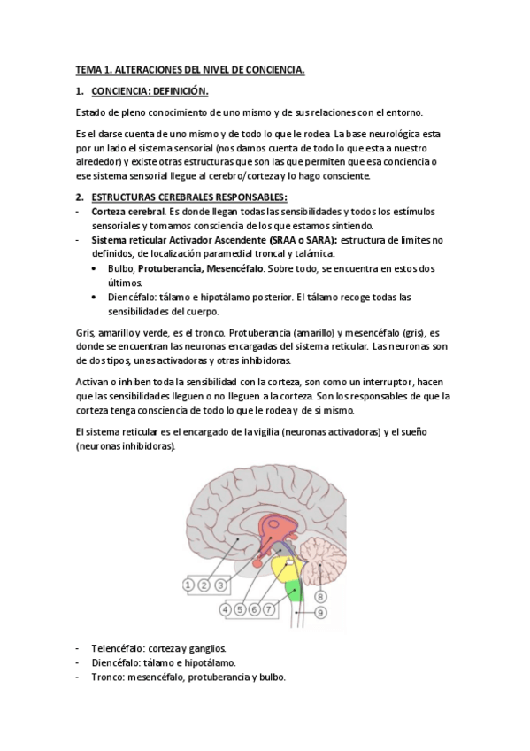 Miniatura del documento TEMA-1.pdf