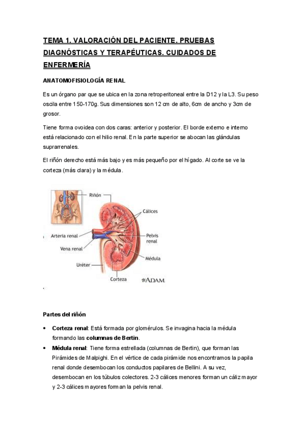 Miniatura del documento Temas-unidos-urologia.pdf