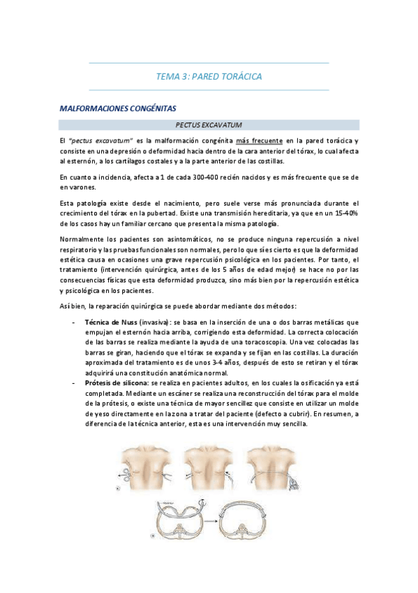 Miniatura del documento tema-3-pared-toracica.pdf