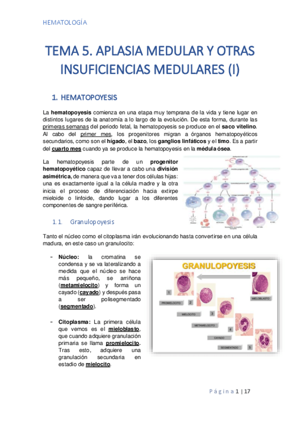 Miniatura del documento TEMA-5-PARTE-I.pdf
