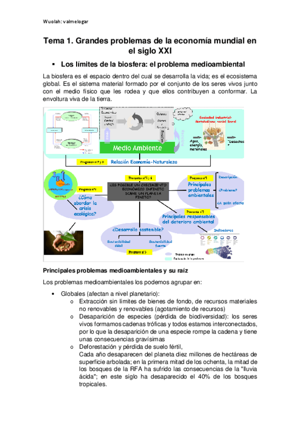 Miniatura del documento Tema-1--ANEXO.pdf