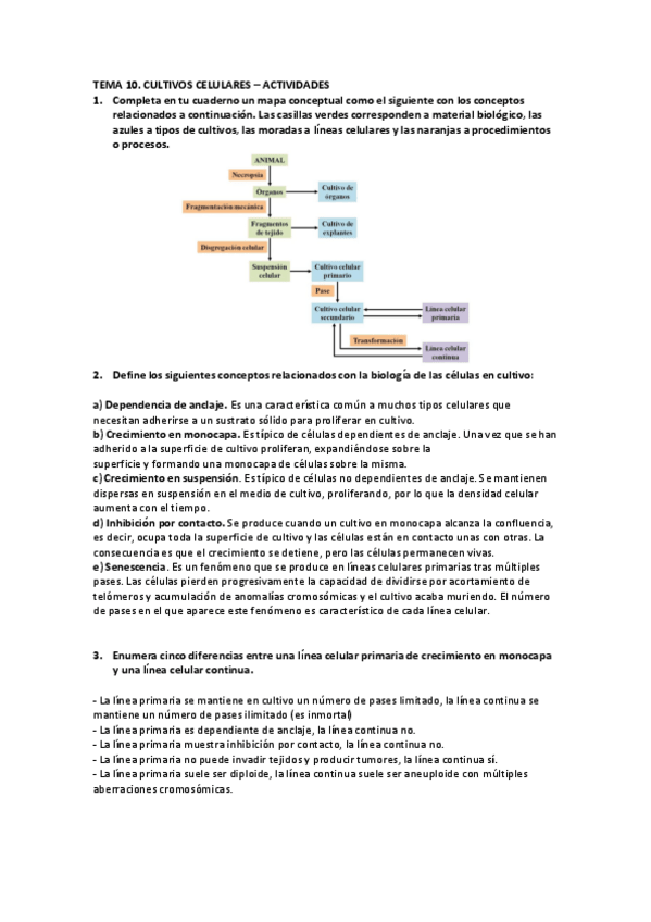 Miniatura del documento BMC-Tema-10-Actividades.pdf