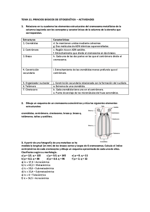 Miniatura del documento BMC-Tema-11-Actividades.pdf