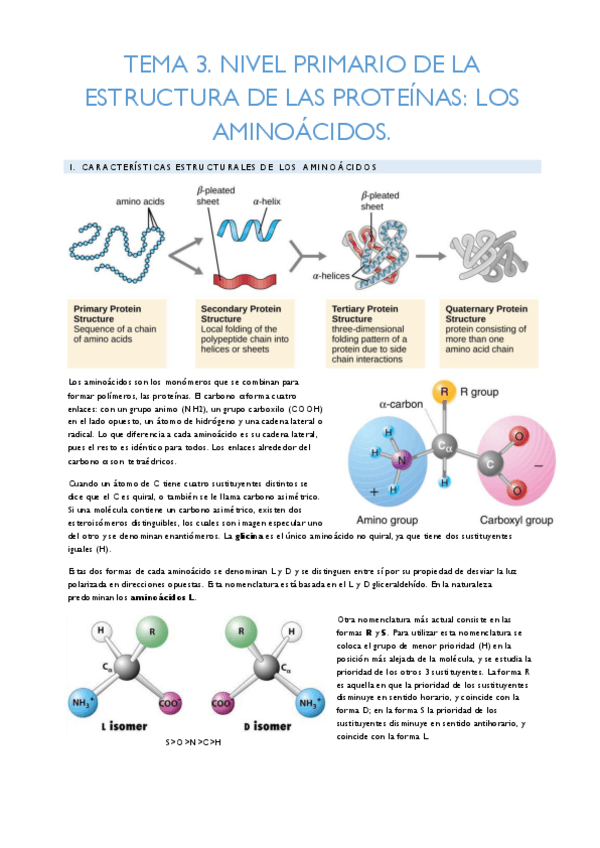 Miniatura del documento Temario-completo.pdf