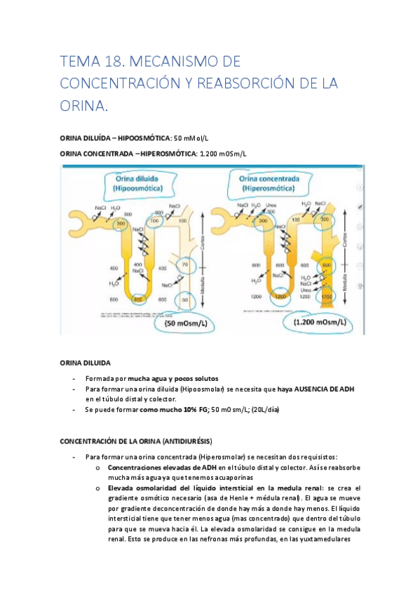 Miniatura del documento TEMA-18.pdf
